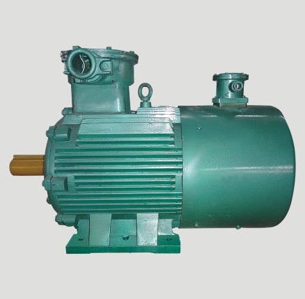 TYBPX變頻調(diào)速高效率永磁電機